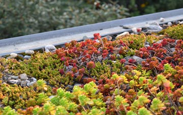 the cost of Battlies Green green roof installation