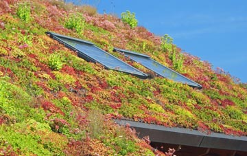 Battlies Green living roof systems