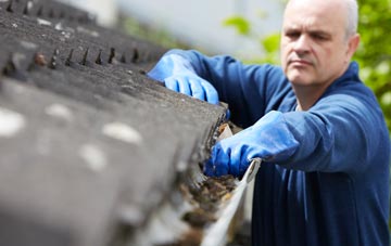 cleaning and inspecting Battlies Green roofs