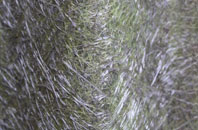 Battlies Green fibreglass roof work
