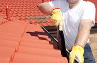 Battlies Green roof cleaners