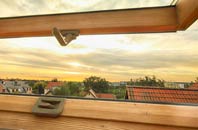 rated Battlies Green roof window companies
